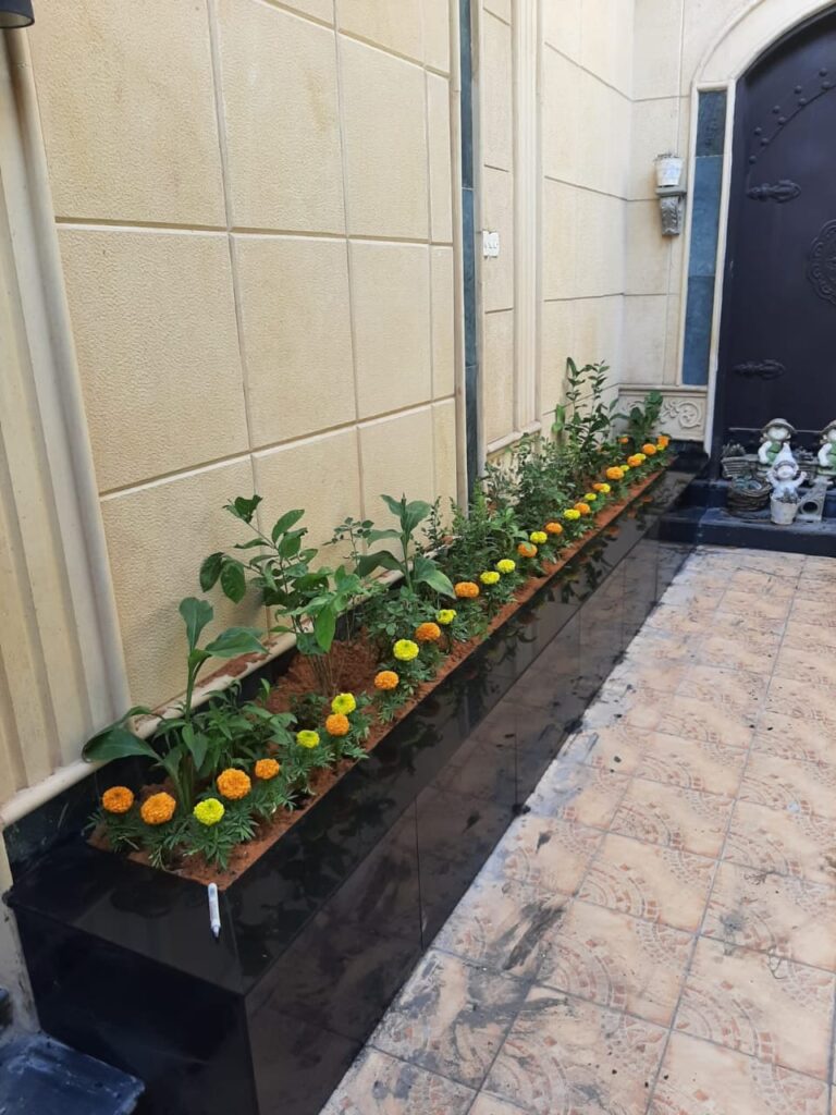 عشب طبيعي (14)